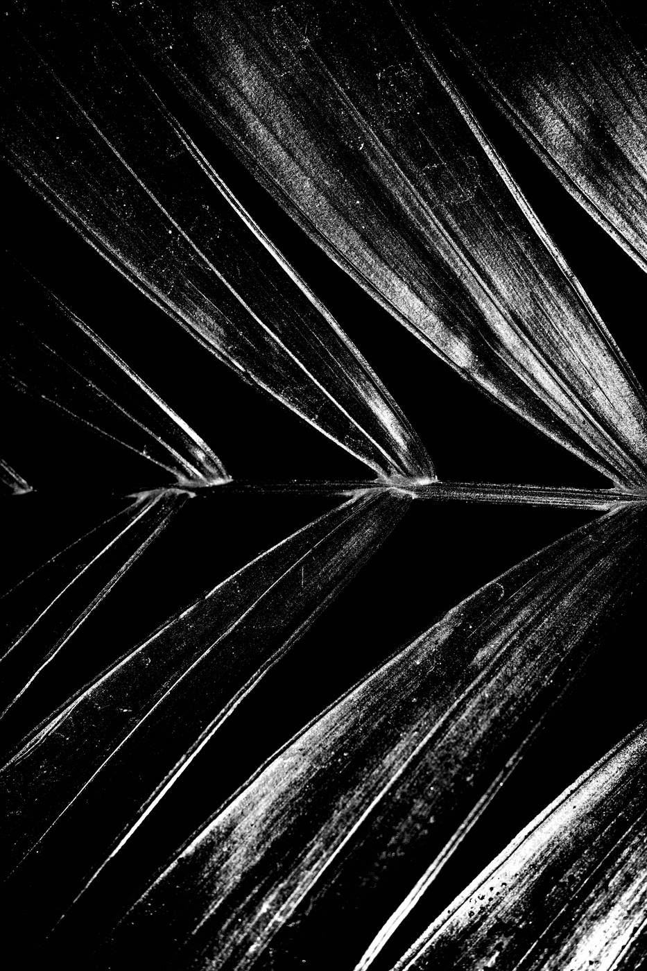 Frame 018
