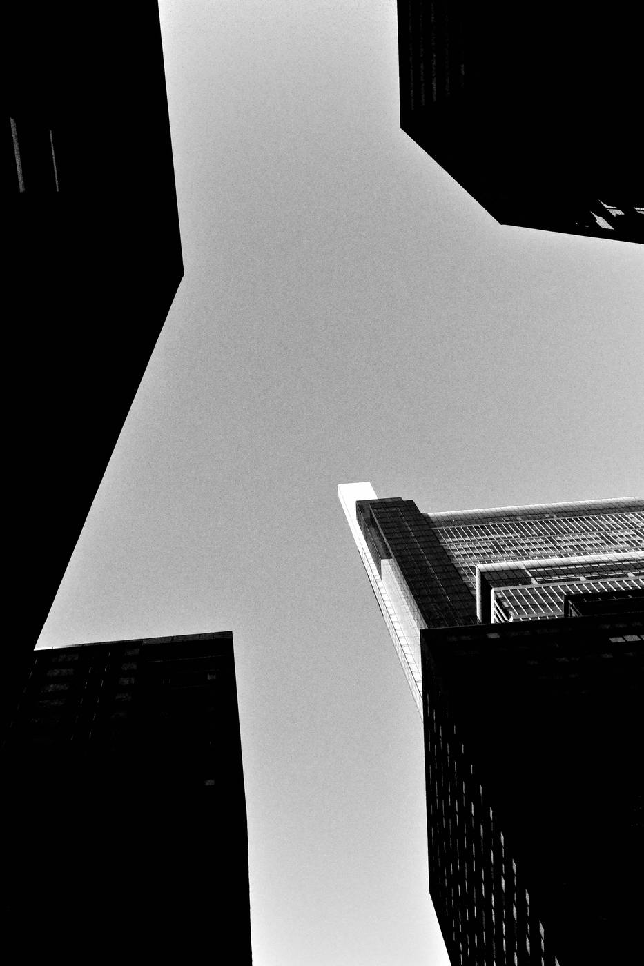 Frame 011