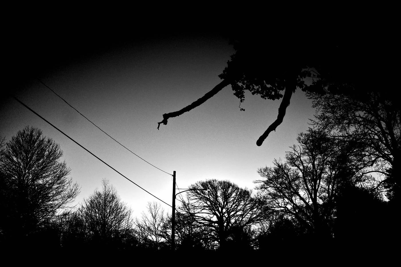 Frame 013