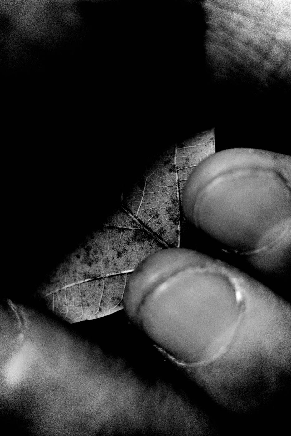 Frame 037