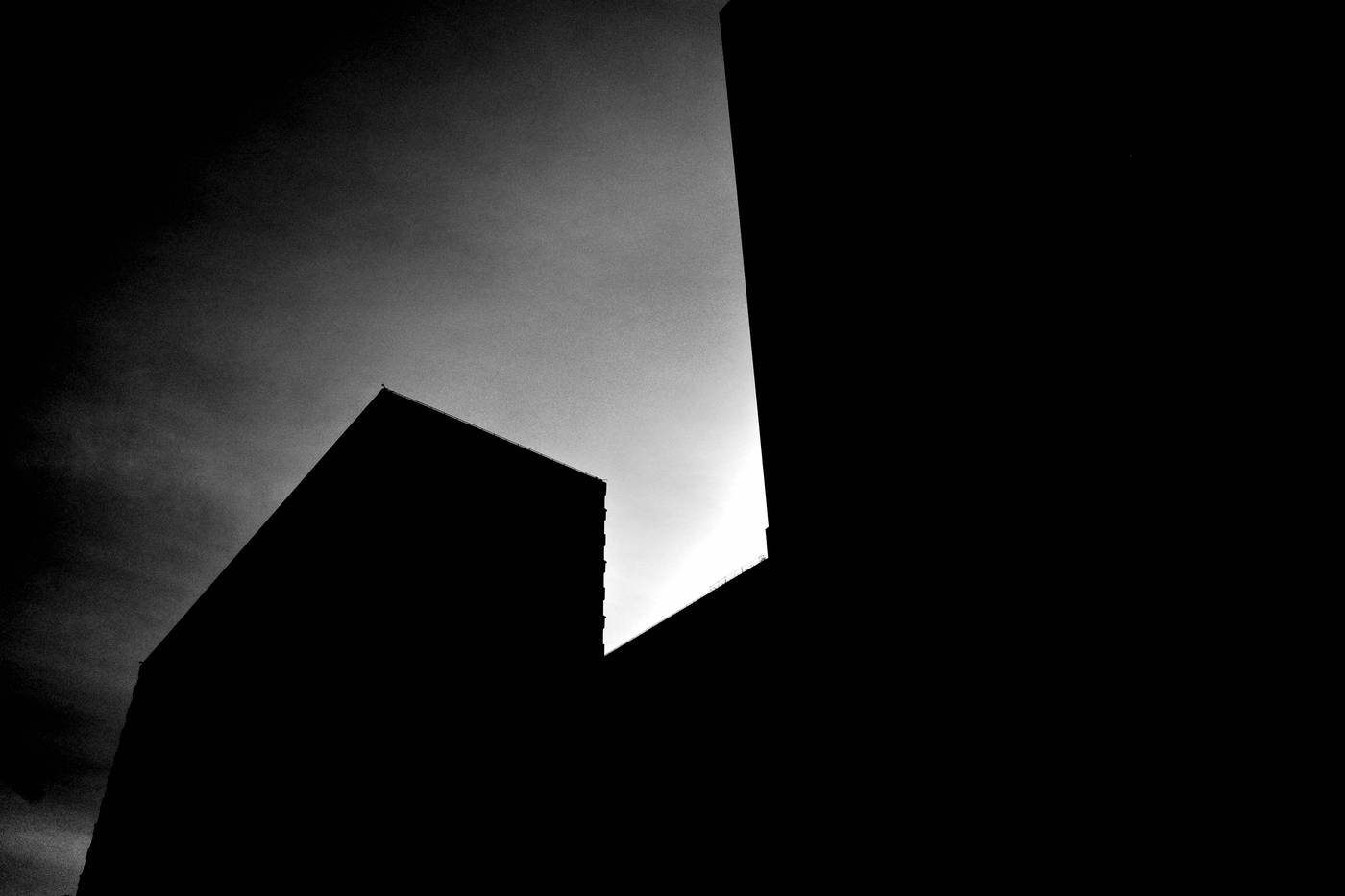 Frame 005