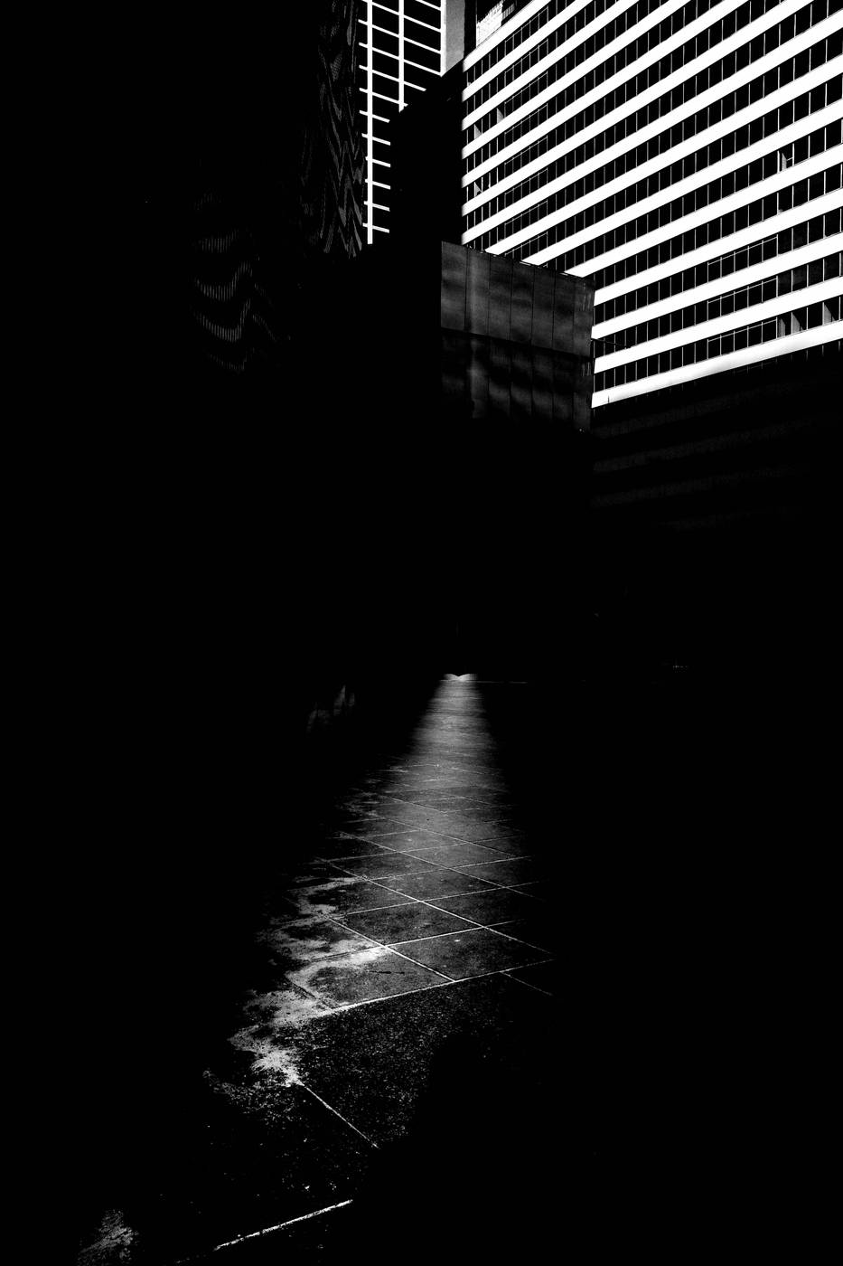 Frame 015