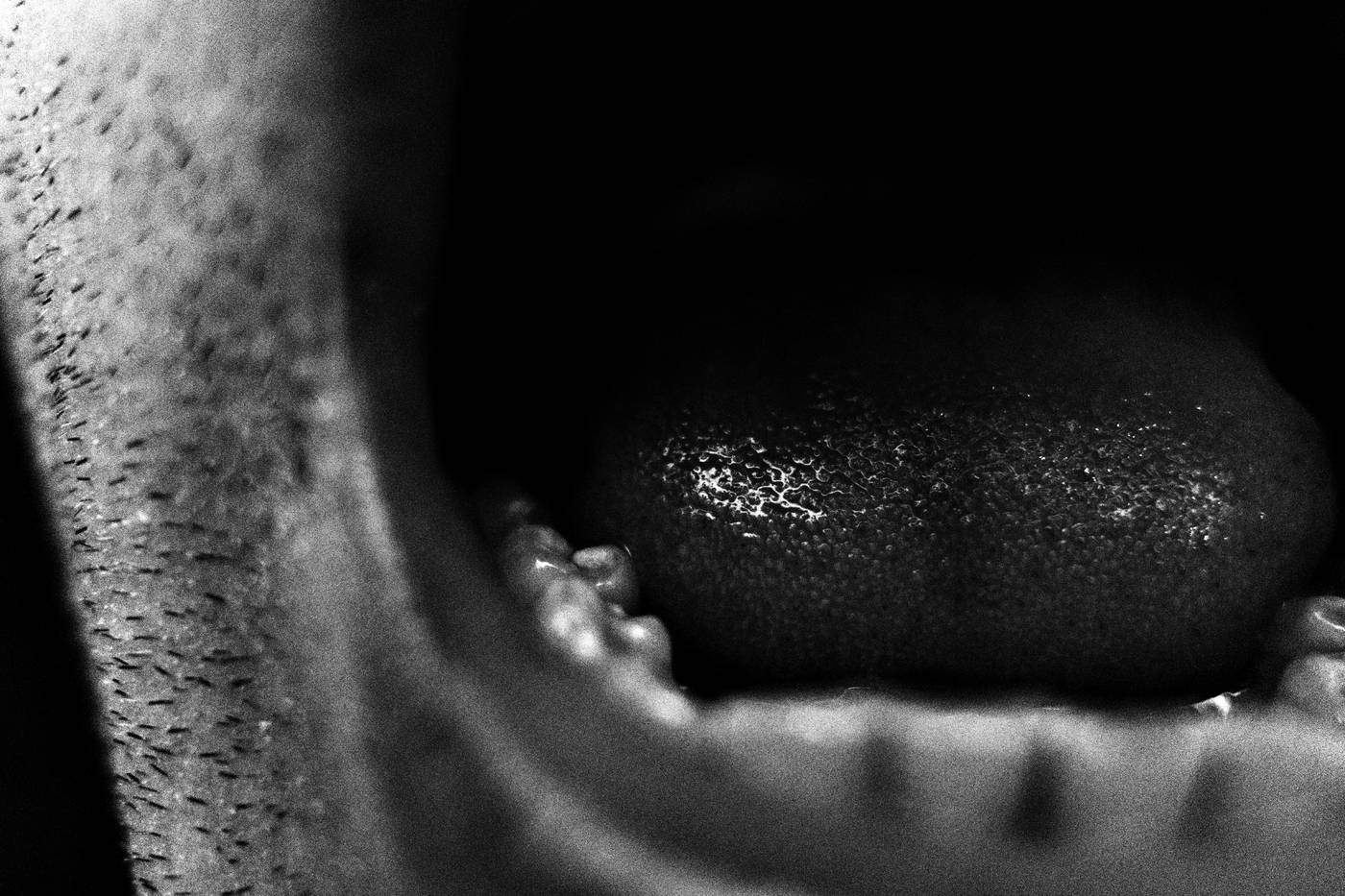 Frame 014