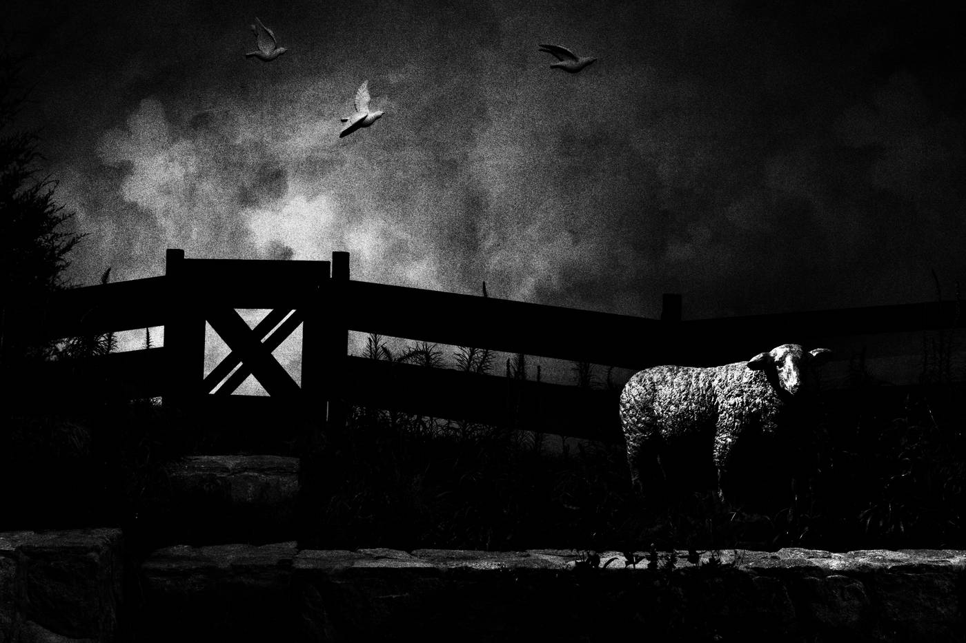 Frame 001
