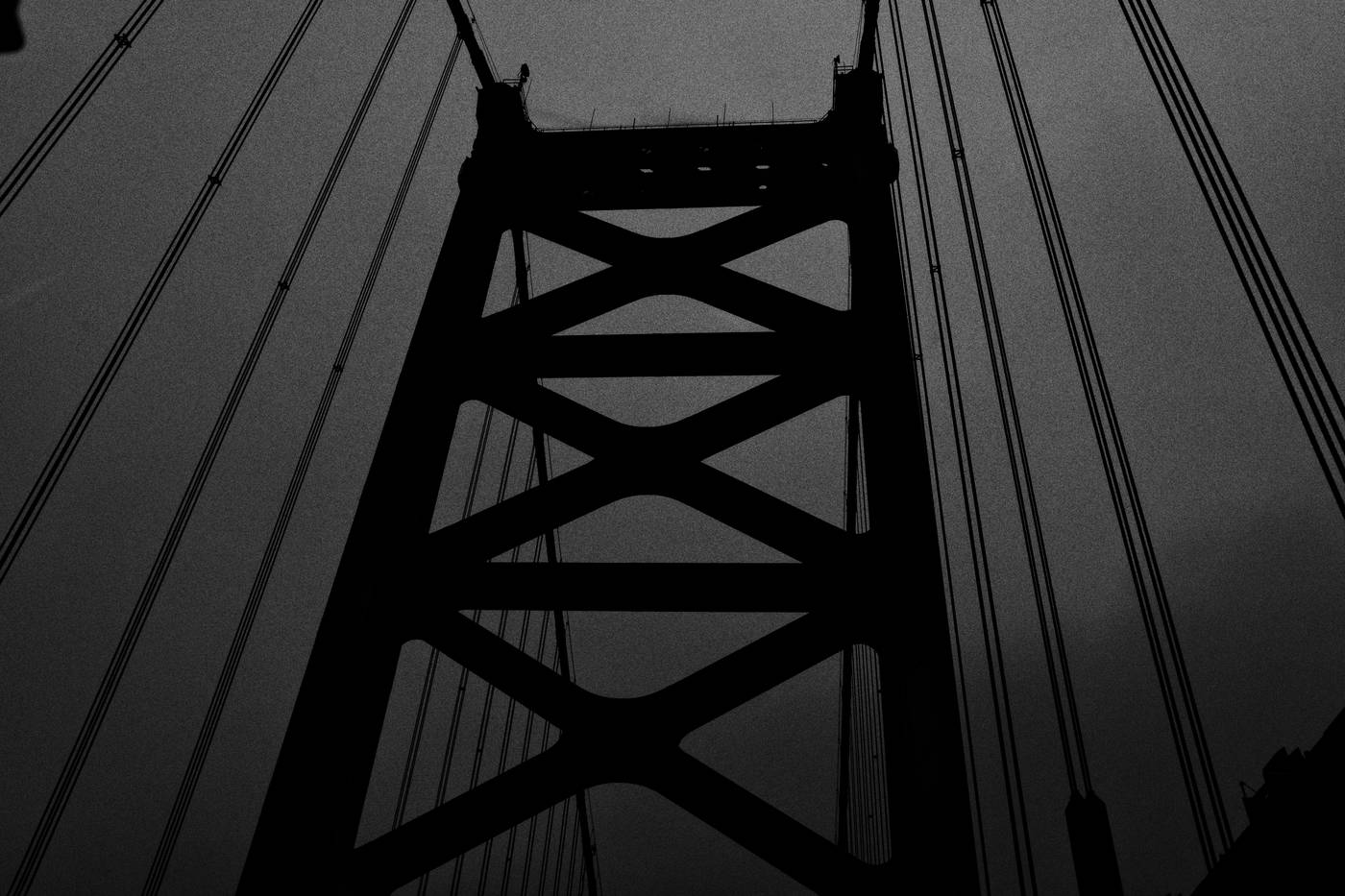 Frame 008