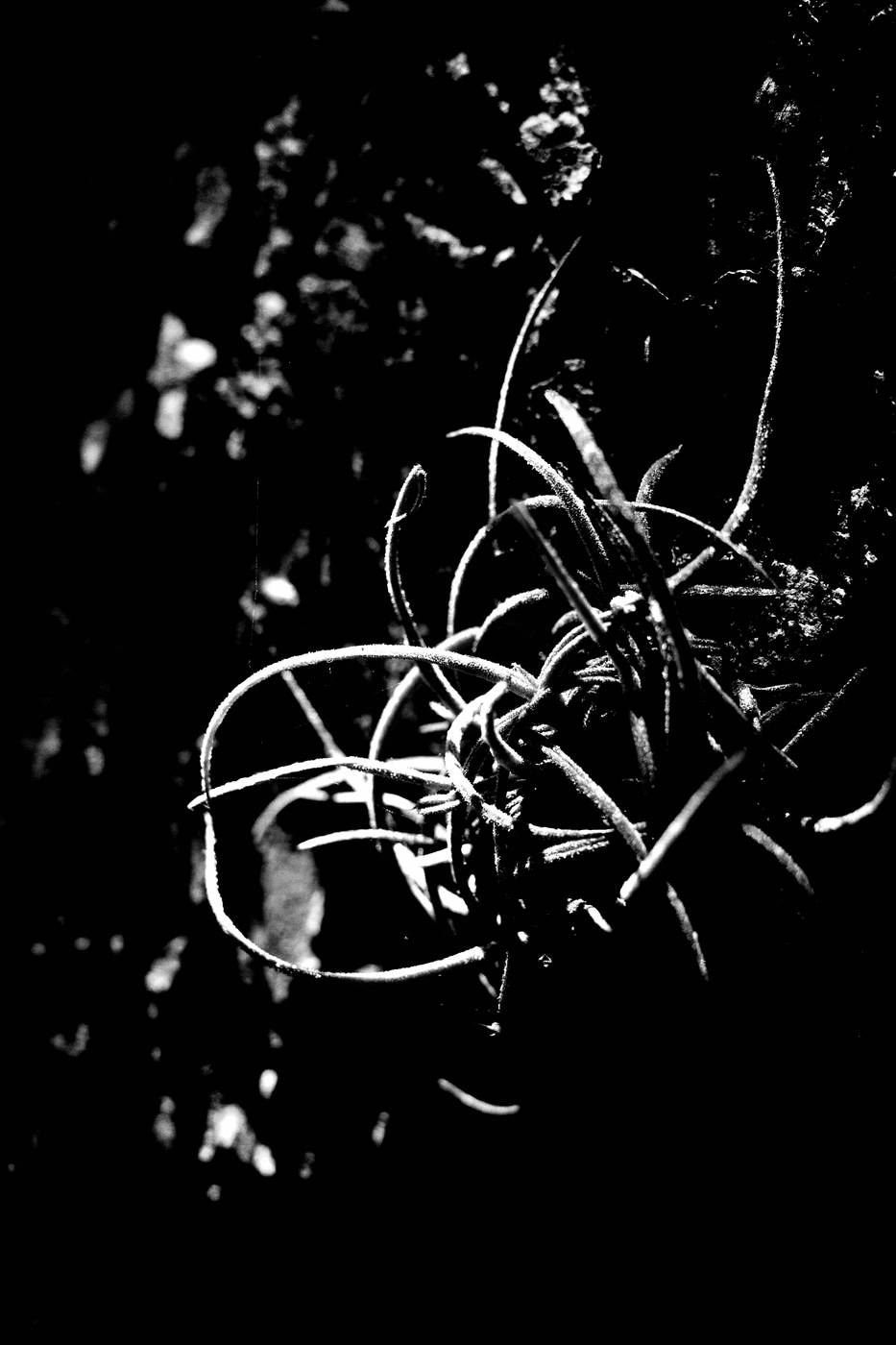 Frame 008