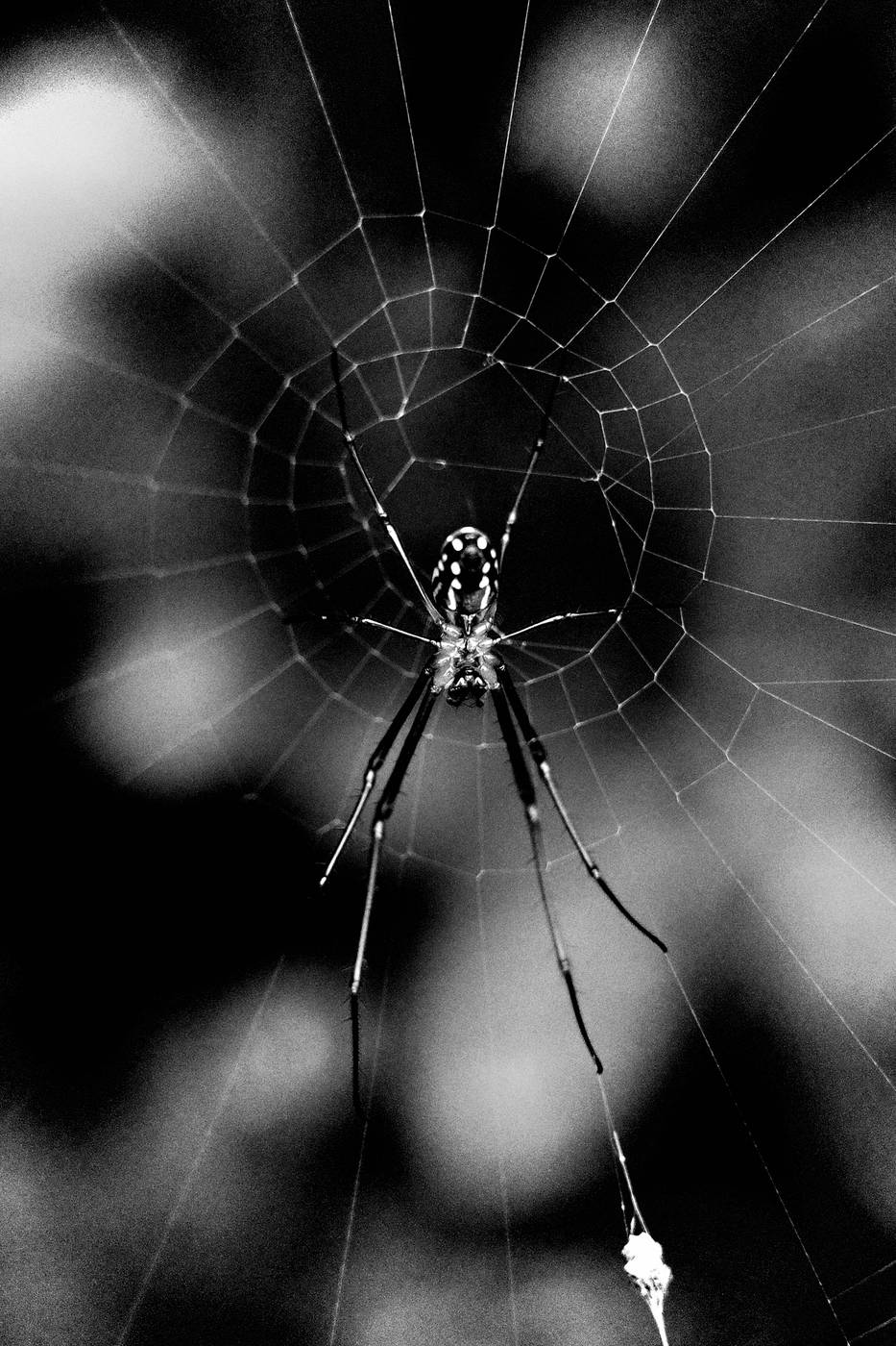 Frame 002
