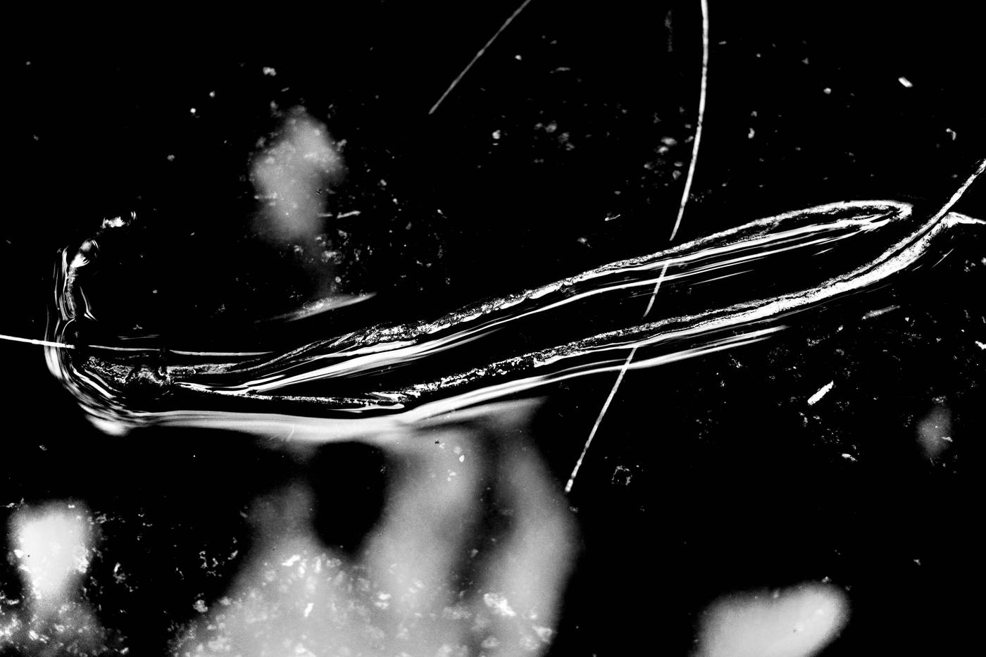 Frame 003