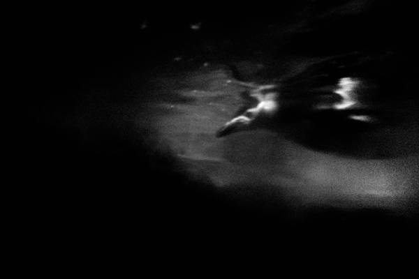 Frame 008
