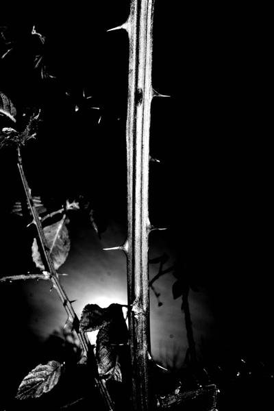 Frame 002