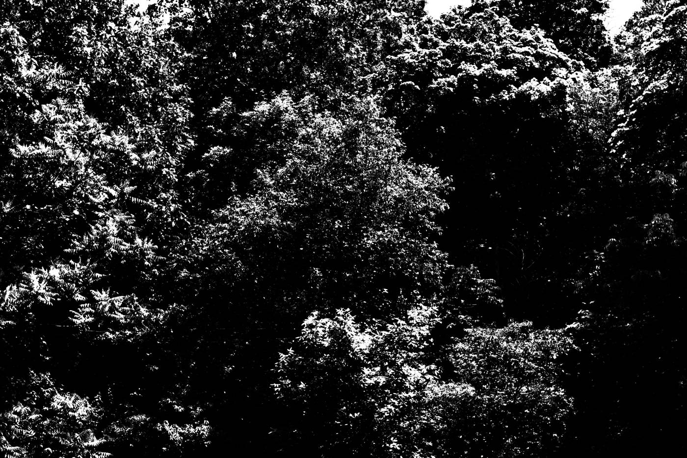 Frame 002