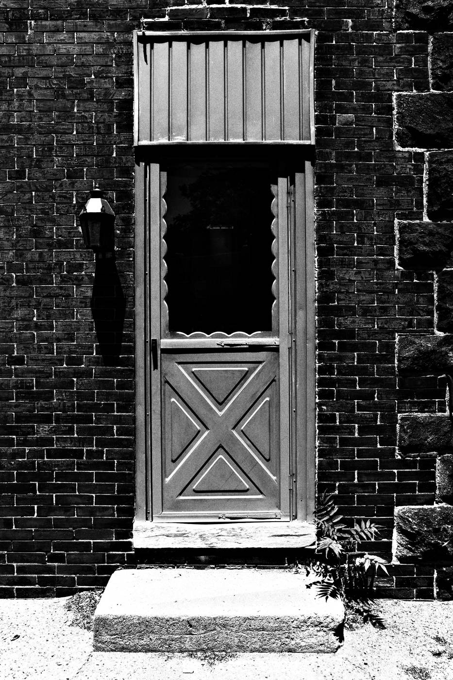 Frame 008