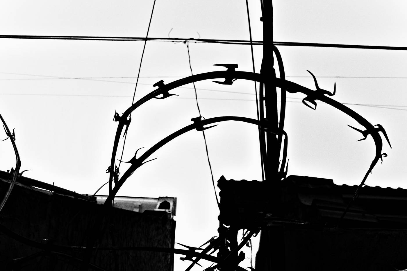 Frame 006